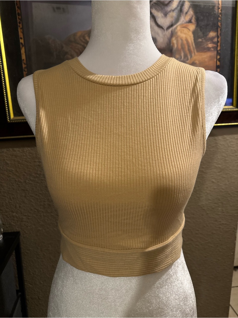 Timing Ribbed Sleeveless Crop Top in Camel